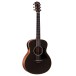 Taylor Gs Mini-e Trans Black Special Edition - upright