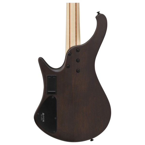 Ibanez EHB600, Walnut Flat - BACK OF BODY