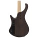 Ibanez EHB600, Walnut Flat - BACK OF BODY