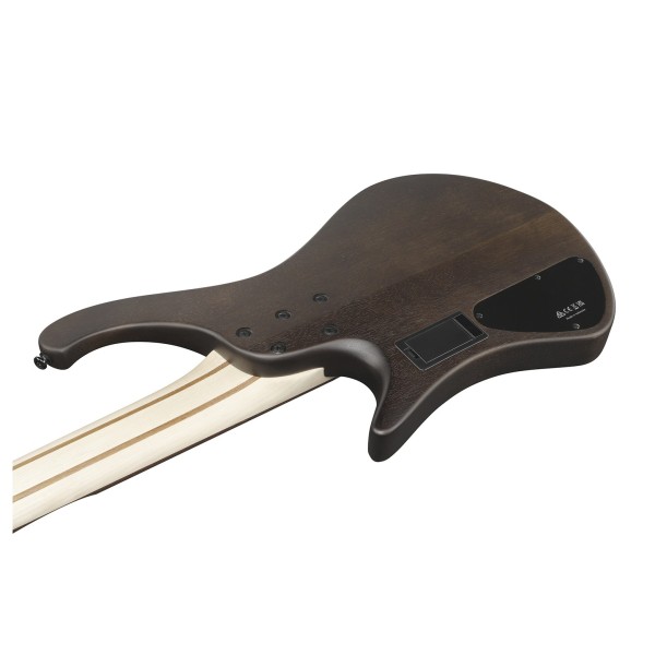 Ibanez EHB605, Walnut Flat - BACK ANGLE SHOT