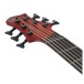 Ibanez BTB866MS, Brown Topaz Burst Flat - FRONT OF HEADSTOCK