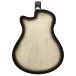 Ibanez AAM370M1CE, Transparent Panda High Gloss Finish - BACK OF BODY