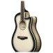Ibanez AAM370M1CE, Transparent Panda High Gloss Finish - LOWER EDGE