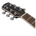 Ibanez AAM370M1CE, Transparent Panda High Gloss Finish - HEADSTOCK
