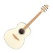 Ibanez AAM370M2E, Transparent Antique White Ice Blue Open Pore