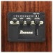 Ibanez AW391RCE, Black High Gloss Top, Natural High Gloss Back and Sides - CONTROLS