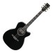 Ibanez AC391RCE, Black High Gloss Top, Natural High Gloss Back and Sides