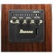 Ibanez AC391RCE, Black High Gloss Top, Natural High Gloss Back and Sides - CONTROLS