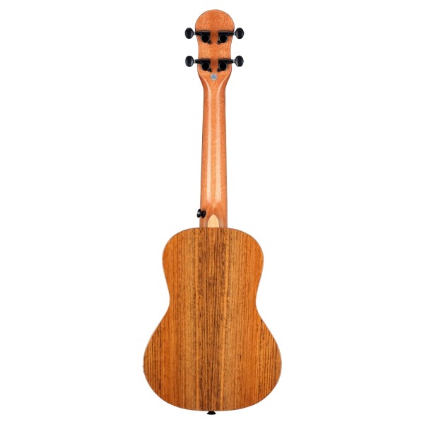 Ferndale Uc-e-w Ukulele Concert Electro Walnut - back 