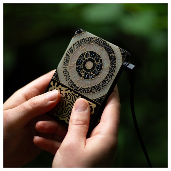Instruo Pocket Scion Biofeedback Instrument - Lifestyle 6