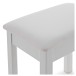 VISION Piano Stool with Storage by Gear4music, White