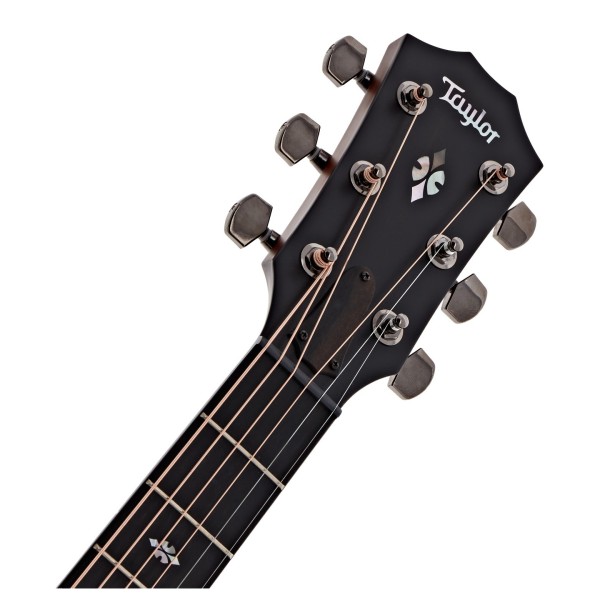 Taylor Custom Old Growth Grand Auditorium Electro Acoustic Guitar, Walnut - headstock