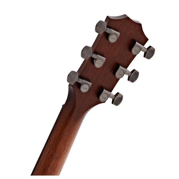 Taylor Custom Old Growth Grand Auditorium Electro Acoustic Guitar, Walnut - back of headstock