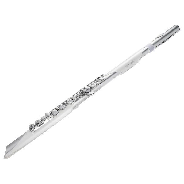 Roland Aerophone Brisa Digital Wind Instrument - Main