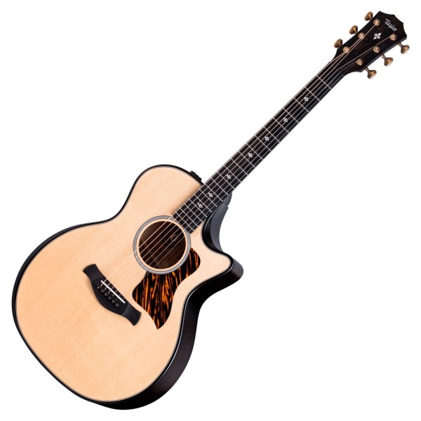 Taylor Builders Edition 314ce Ltd, Natural, Front