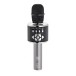 SubZero PartyVox GO Handheld Karaoke Microphone with DSP Effects