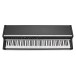 Viscount Legend 70's Artist W Modular Stage Piano