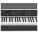 Viscount Legend 70's Artist W Modular Stage Piano
