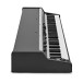 Viscount Legend 70's Artist W Modular Stage Piano