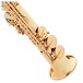 Trevor James EVO Soprano Saxophone, Gold Lacquer