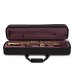 Trevor James EVO Soprano Saxophone, Gold Lacquer