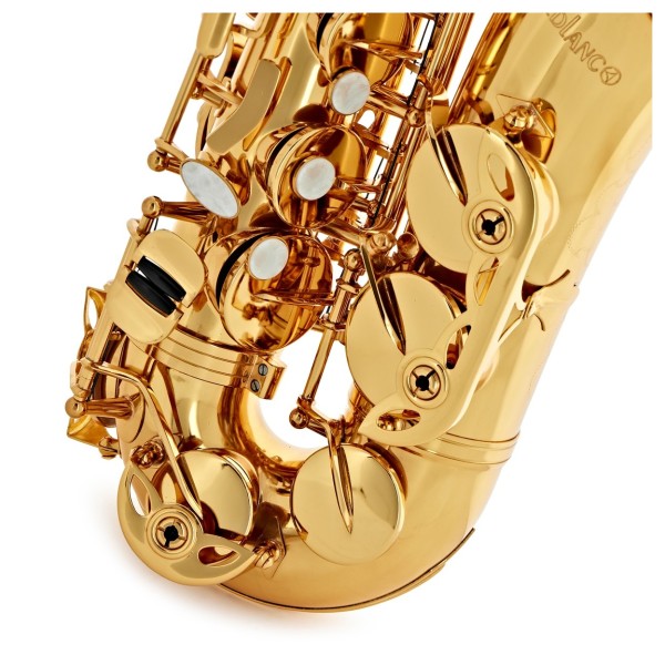 Leblanc LAS211 Alto Saxophone, Lacquer