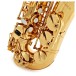 Leblanc LAS211 Alto Saxophone, Lacquer
