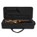 Leblanc LAS211 Alto Saxophone, Lacquer