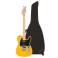 Fender Standard Telecaster Bundle with Gigbag or Case