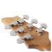 Schecter C-1 Standard Plus, Trans Black Burst - back of headstock
