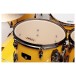 Tama Imperialstar Ltd Edition Drum Kit Inspired by Lars Ulrich