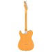 Fender American Professional Classic Telecaster MN, Butterscotch Blonde - back