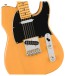 Fender American Professional Classic Telecaster MN, Butterscotch Blonde - hardware