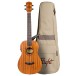 Flight DUB38 Baritone Electro Ukulele, SoundWave 2 