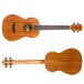 Flight DUB38 Baritone Electro Ukulele, SoundWave 3 