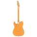 Fender American Professional Classic Telecaster SSS RW, Butterscotch Blonde - back
