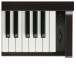 Kawai CN29 Digital Piano, Premium Rosewood, Volume