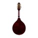 Ozark A-Model Wide Neck Mandolele - Rear 