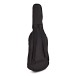 Antiquity St Guitar & Amp Pack - Sunburst - back of case