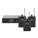 SubZero EMS1 Wireless In Ear Monitor System, Custom Bundle