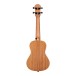 Ferndale UC-S Ukulele Concert Spruce