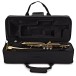 Forte TR1 Trumpet Outfit