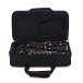 Forte CL1 Bb Clarinet Outfit