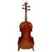 G.B Guadagnini Viola Copy, 1785 Model, Instrument Only, 15