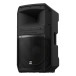 Electro-Voice Eviva 15P Portable Powered Loudspeaker, Right Angle