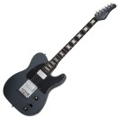 Schecter PT EX Baritone, Dorian Gray
