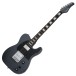 Schecter PT EX Baritone, Dorian Gray