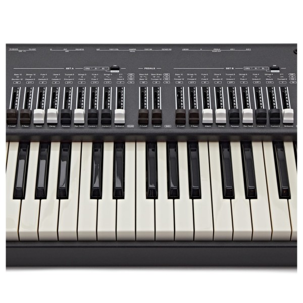 Viscount Legend ONE 61 Stage Keyboard - Keys