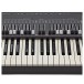 Viscount Legend ONE 61 Stage Keyboard - Keys