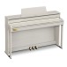 Casio AP-750 Digital Piano, Grey Beige- Angle